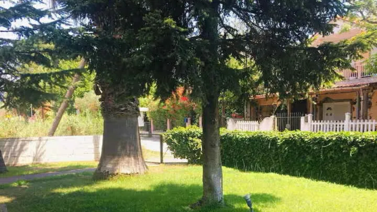 property-img
